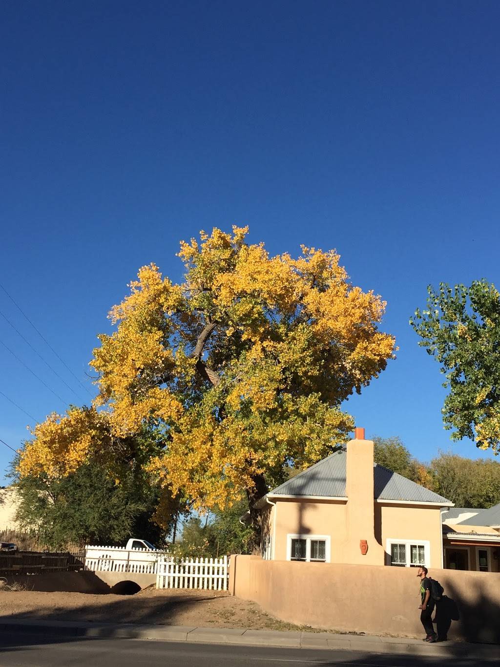 Teofilos Restaurante | restaurant | 144 Vallejos Ln, Los Lunas, NM 87031, USA | 5058655511 OR +1 505-865-5511