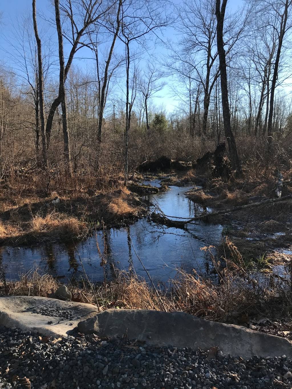 Lakeside Manor Inn | restaurant | 3336 Frontier Rd, East Stroudsburg, PA 18302, USA | 2722002900 OR +1 272-200-2900