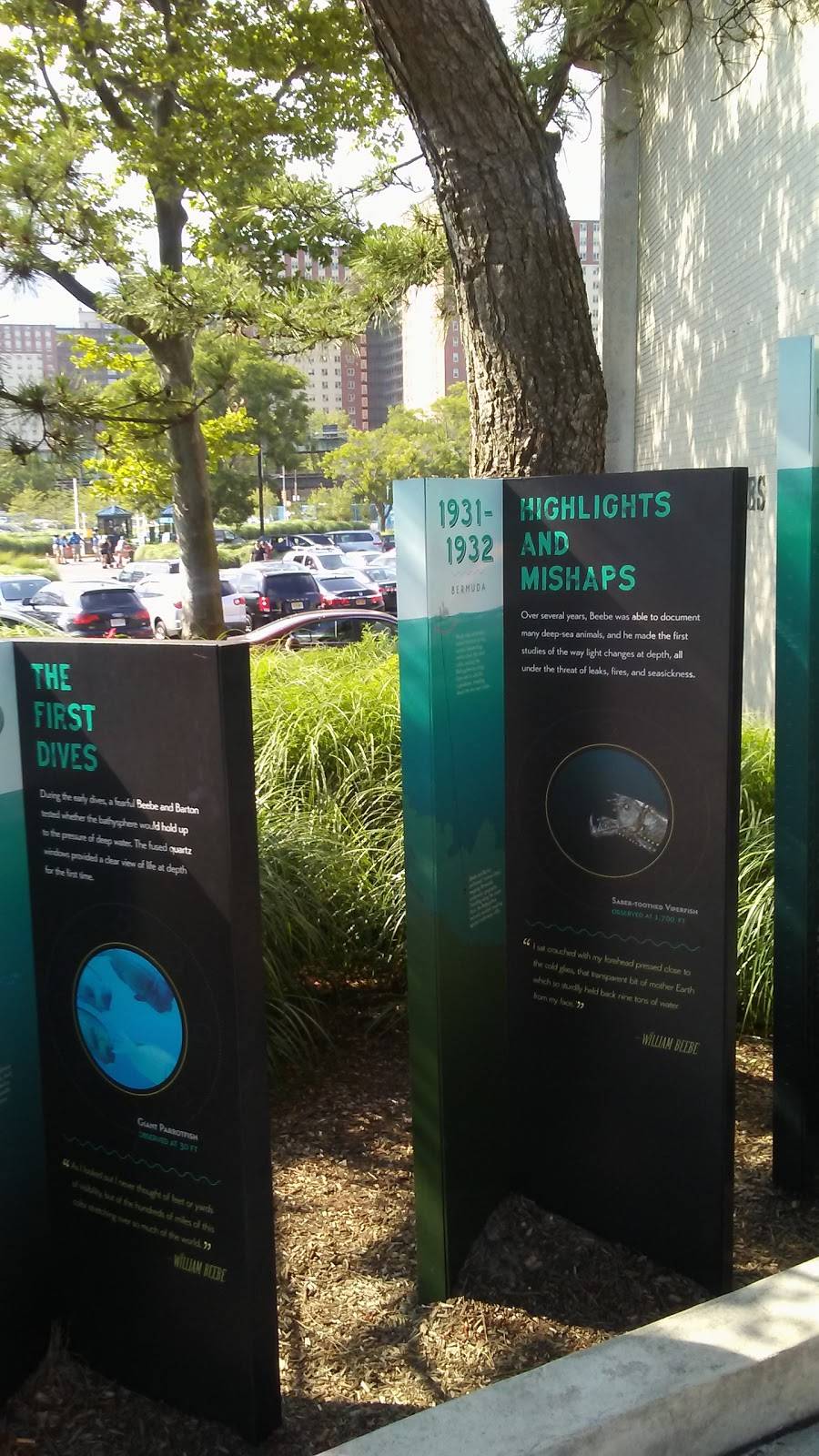 Super Convenience Deli & Grocery | restaurant | 1525 E New York Ave, Brooklyn, NY 11212, USA | 7183424193 OR +1 718-342-4193