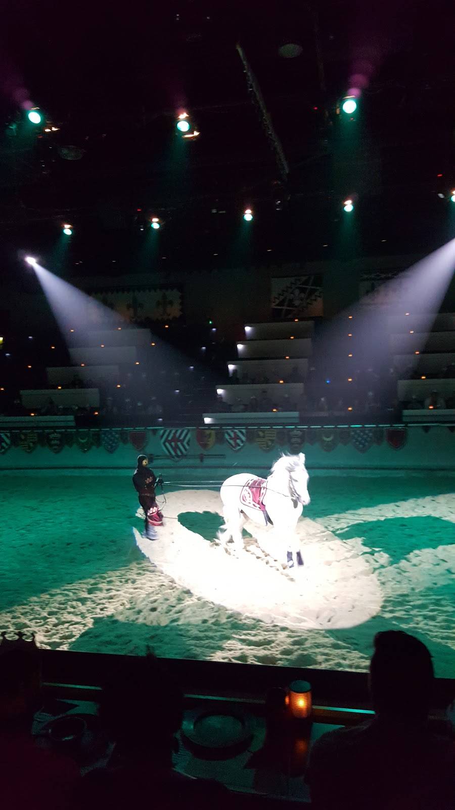 Medieval Times Dinner & Tournament | restaurant | 5900 Sugarloaf Pkwy Suite 517, Lawrenceville, GA 30043, USA | 7702250230 OR +1 770-225-0230