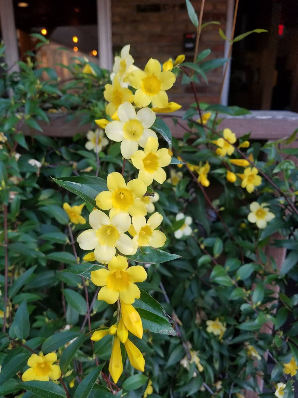 The Original Jonathans The Rub | restaurant | 9061 Gaylord Dr, Houston, TX 77024, USA | 7134658200 OR +1 713-465-8200