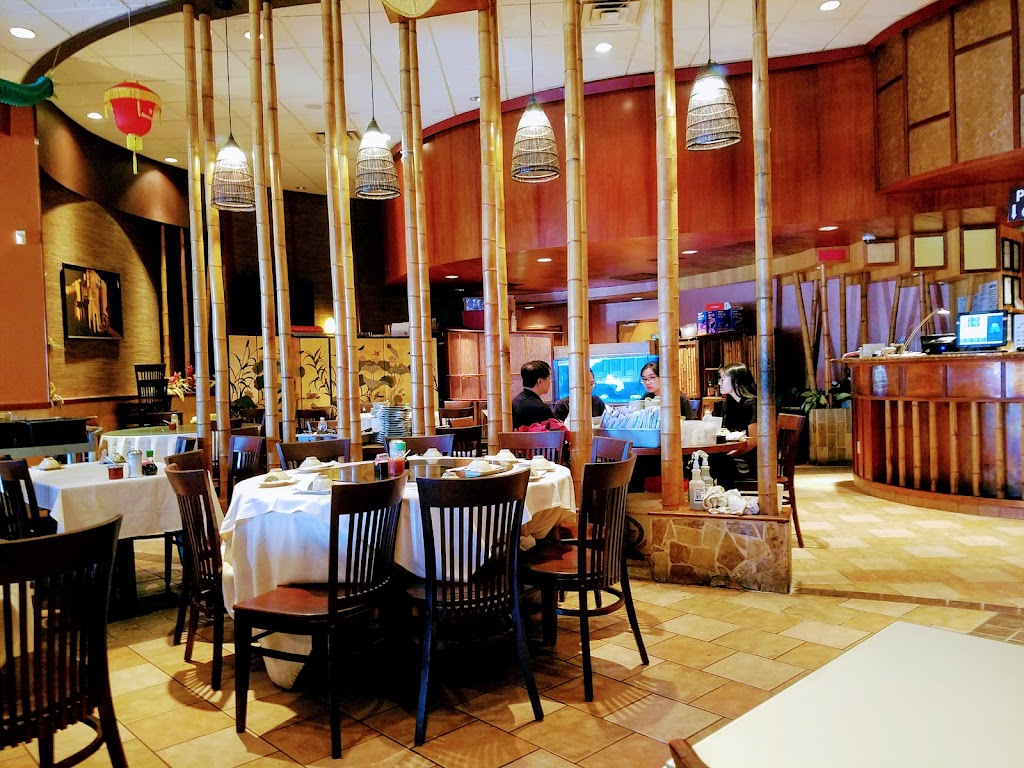 Jasmine Asian Cuisine | meal takeaway | 9938 Bellaire Blvd, Houston, TX 77036, USA | 7132728188 OR +1 713-272-8188