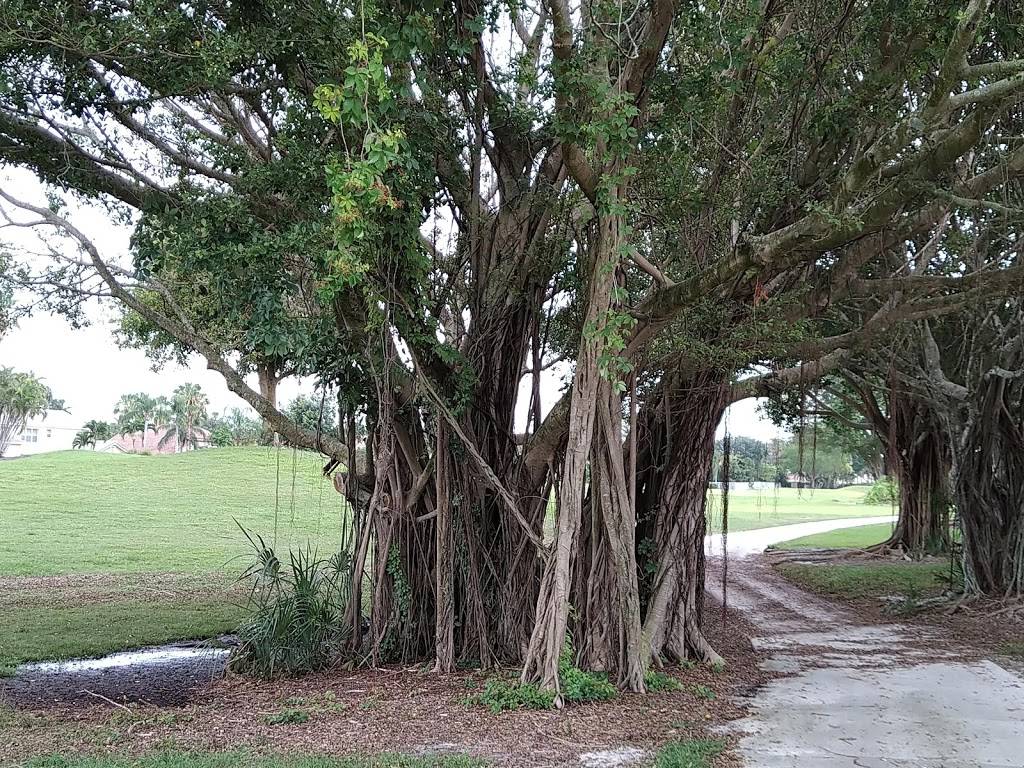 Winston Trails Golf Club | restaurant | 6101 Winston Trails Blvd #6522, Lake Worth, FL 33463, USA | 5614393700 OR +1 561-439-3700