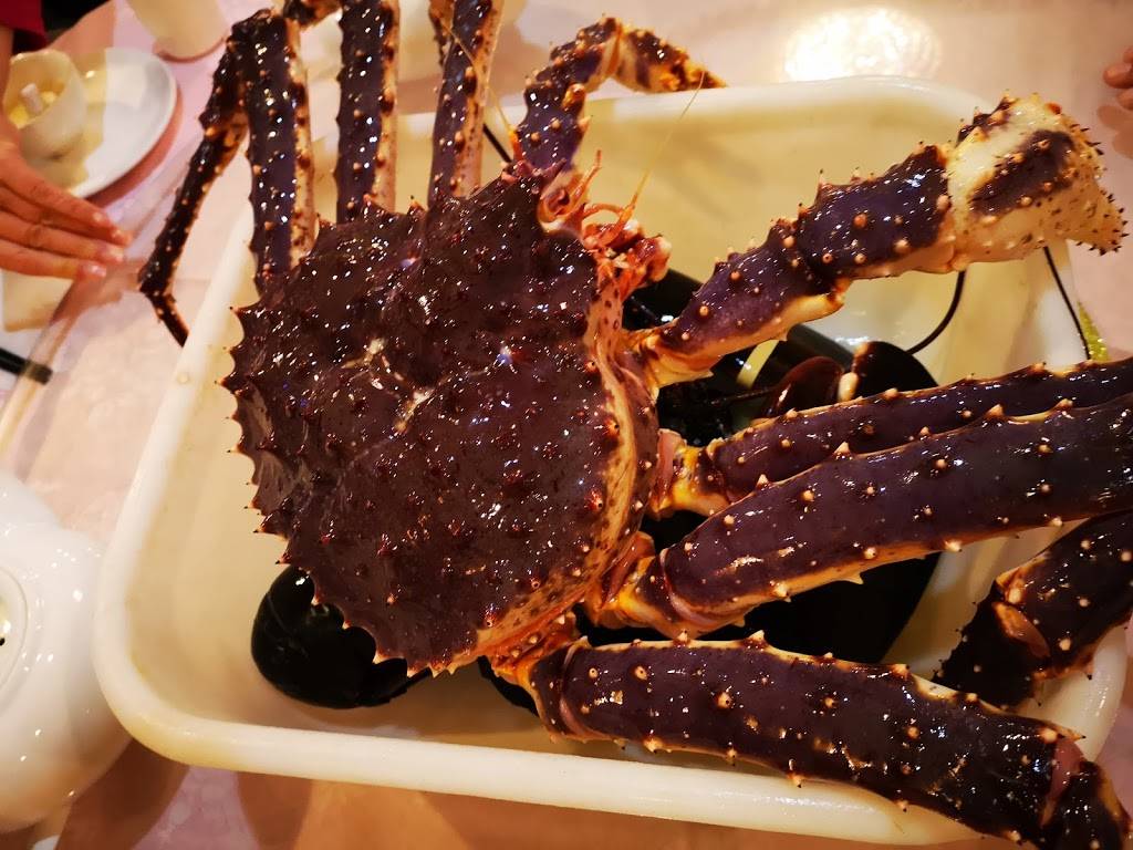 Saigon Toronto Imexports | restaurant | 39 Challenger Ct, Scarborough, ON M1C 4Z4, Canada | 4162811747 OR +1 416-281-1747