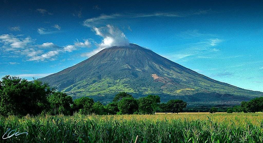 El Chaparrastique Grill | restaurant | 6211 Eastern Ave, Bell Gardens, CA 90201, USA | 3237495522 OR +1 323-749-5522