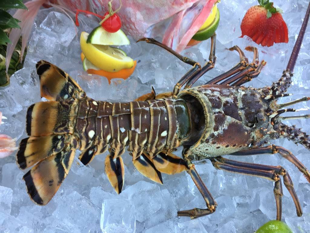 Farlows on the Water | restaurant | 2080 S McCall Rd, Englewood, FL 34224, USA | 9414745343 OR +1 941-474-5343