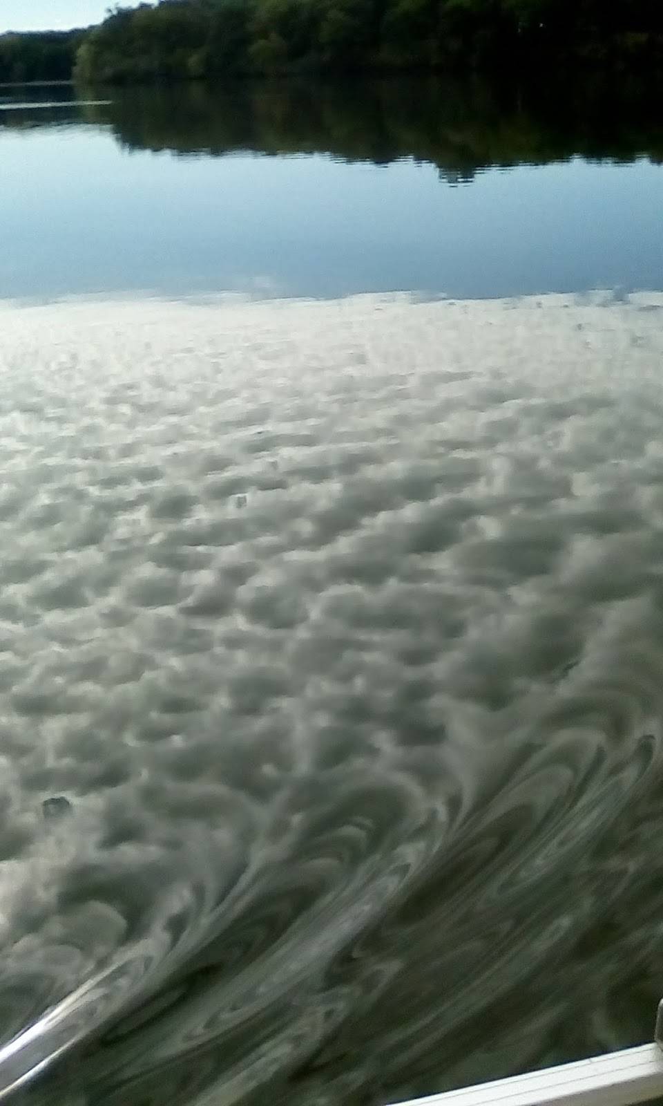 Stateline Inn | restaurant | 12725 Antioch Rd, Trevor, WI 53179, USA | 2628626967 OR +1 262-862-6967