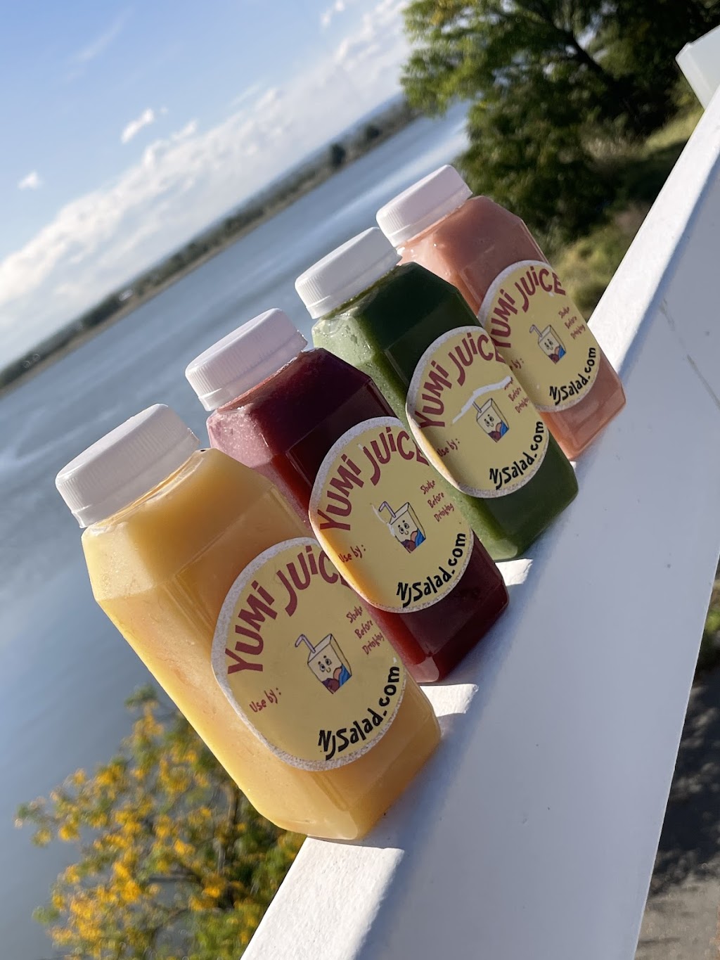 NJSalad.com | restaurant | 740 Irving Pl, Secaucus, NJ 07094, USA | 9734645418 OR +1 973-464-5418