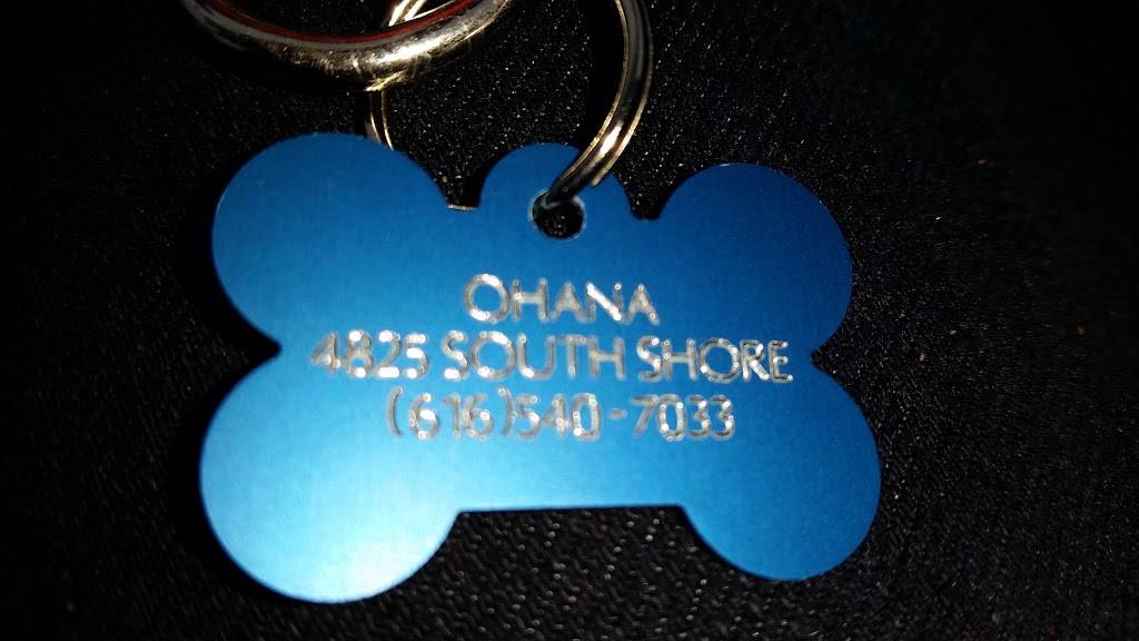 Wendys | restaurant | 2620 State St. South, Ionia, MI 48846, USA | 6165272611 OR +1 616-527-2611