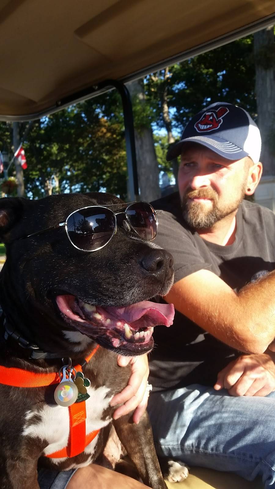 Put-in-Bay Brewery and Distillery | restaurant | 441 Catawba Ave, Put-In-Bay, OH 43456, USA | 4192854677 OR +1 419-285-4677