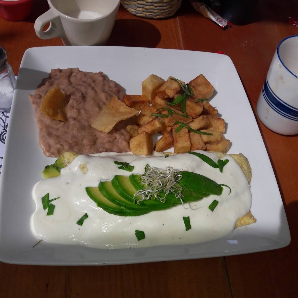 Jurassic Burger y Grill | restaurant | Carretera El Tigre Km13.5, San Marcos, 21188 Ensenada, B.C., Mexico | 016643105211 OR +52 664 310 5211