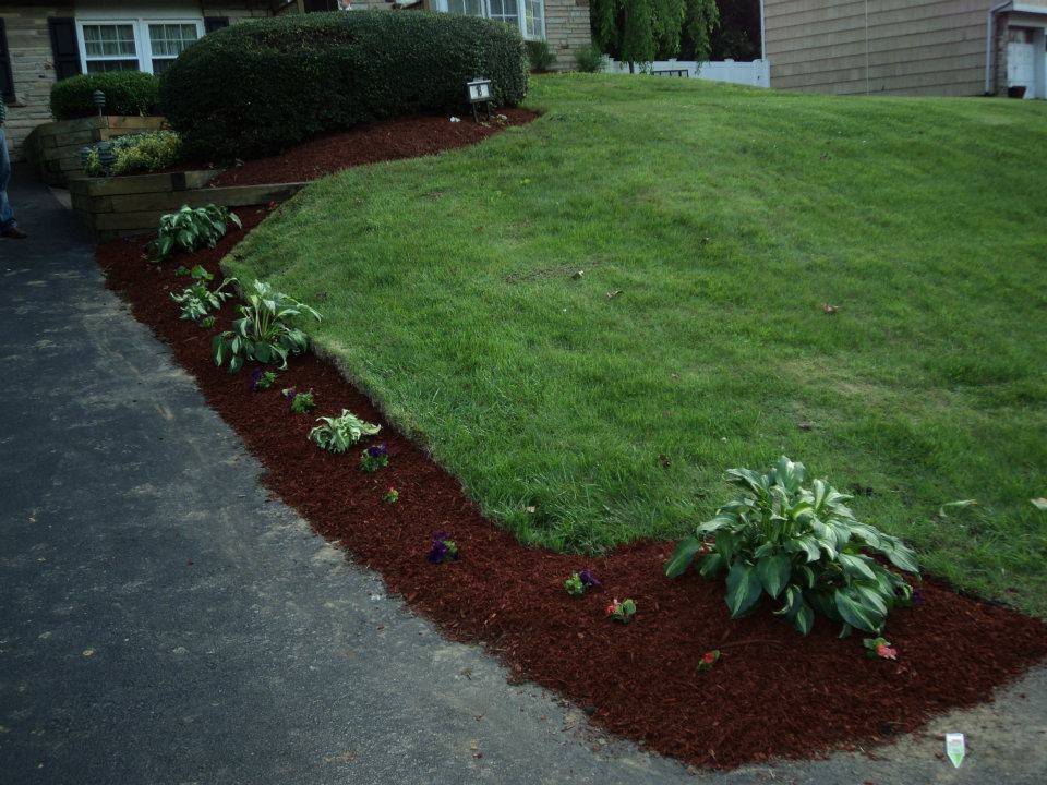 Luis landscaping | restaurant | 323 Lindley Ave, Philadelphia, PA 19120, USA | 2159004099 OR +1 215-900-4099