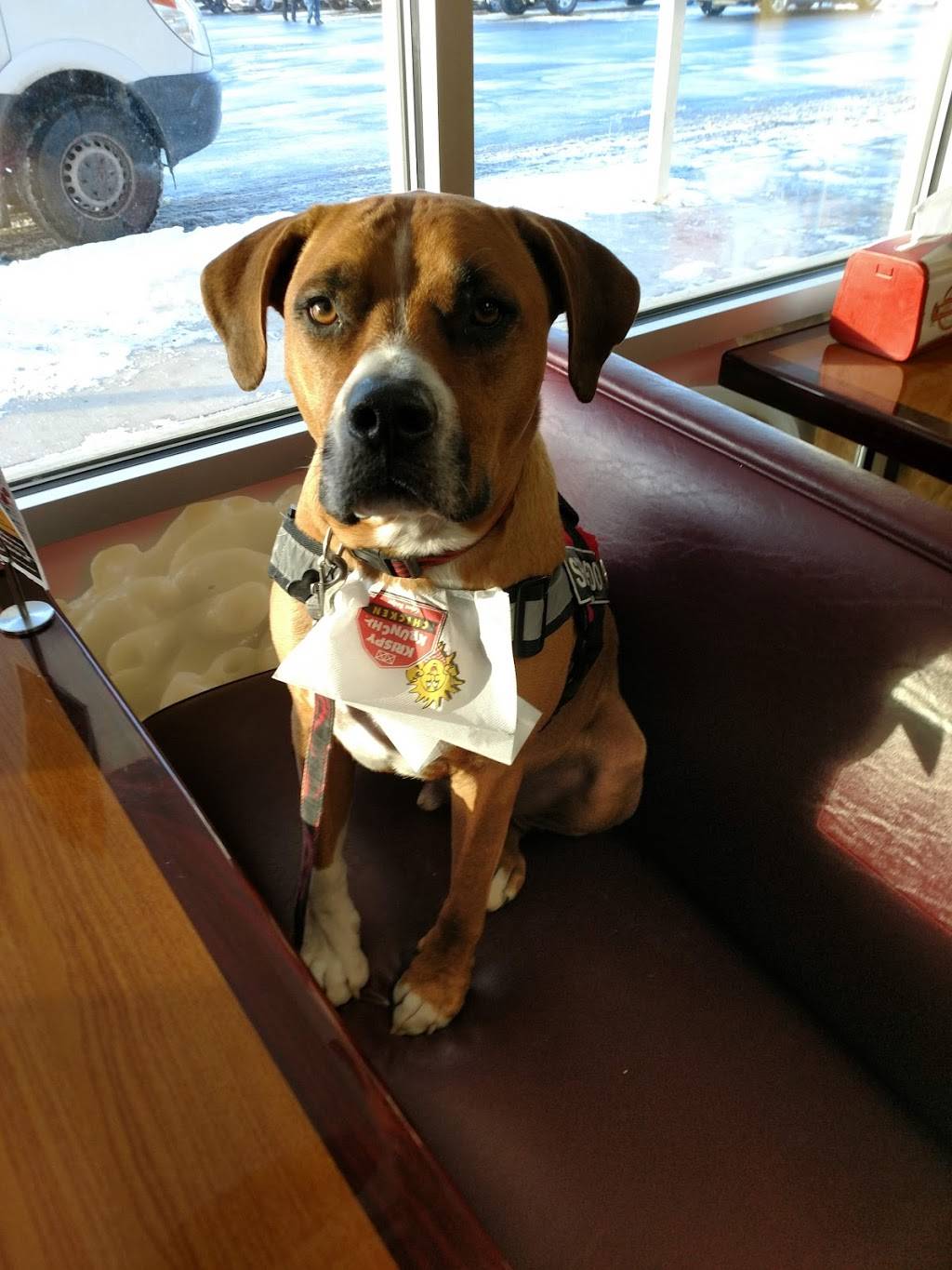 Munchies | restaurant | 360 Grant Ave Unit #2, Auburn, NY 13021, USA | 3152376228 OR +1 315-237-6228