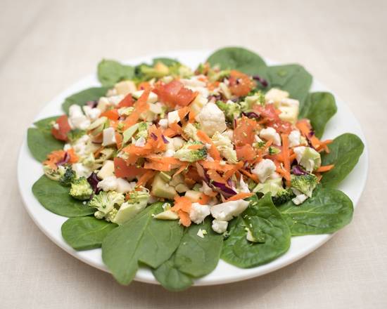 Prima Pasta Italian Restaurant | meal takeaway | 6811 Kirby Dr, Houston, TX 77030, USA | 2817679021 OR +1 281-767-9021