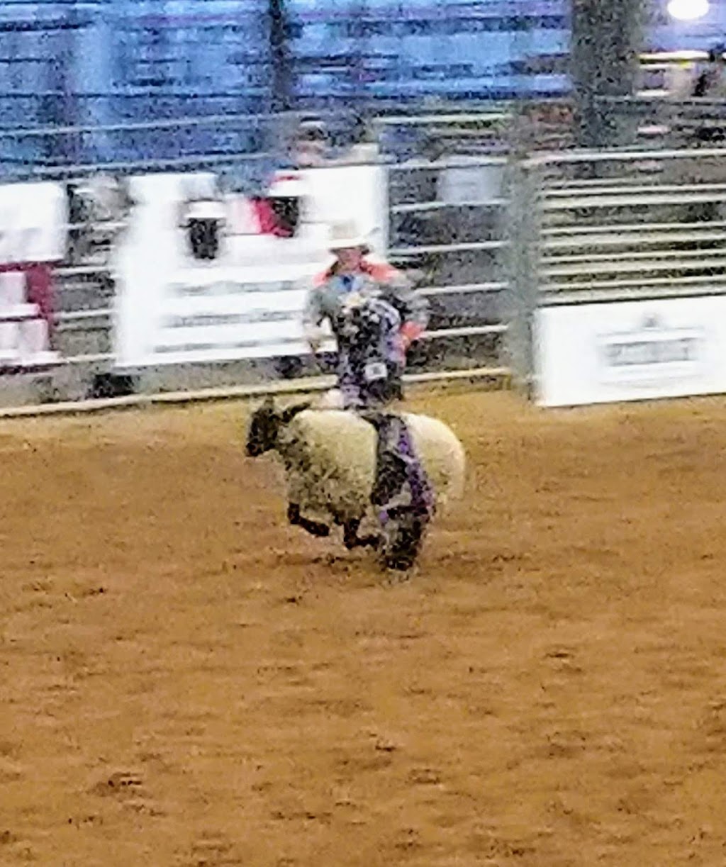 Tejas Rodeo Company and Tejas Steakhouse and Saloon | restaurant | 401 Obst Rd, Bulverde, TX 78163, USA | 8309802226 OR +1 830-980-2226