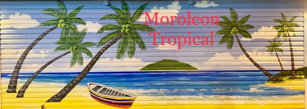 Moroleon tropical | restaurant | 1101 Wabash Ave, Springfield, IL 62704, USA | 2176790879 OR +1 217-679-0879