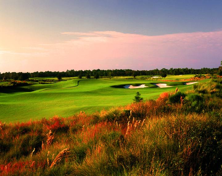Golf Club of the Everglades | restaurant | 8835 Vanderbilt Beach Rd, Naples, FL 34120, USA | 2393544727 OR +1 239-354-4727
