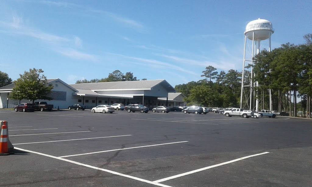 Hamburger King South | restaurant | 22150 Troy Hwy, Pine Level, AL 36065, USA | 3345847083 OR +1 334-584-7083