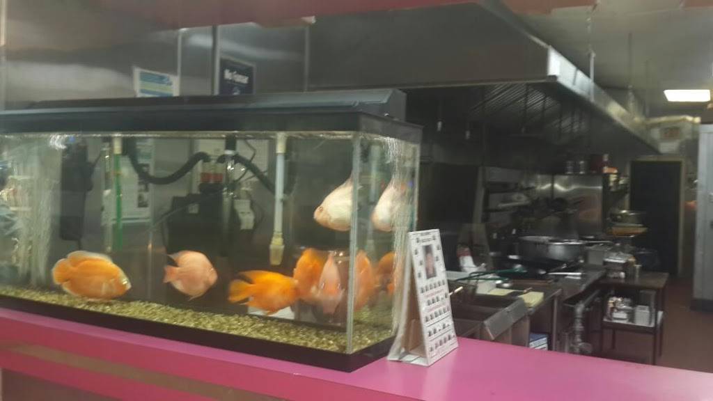 Fu Lai Kitchen | restaurant | 6815 3rd Ave A 5848, Brooklyn, NY 11220, USA | 7189219492 OR +1 718-921-9492