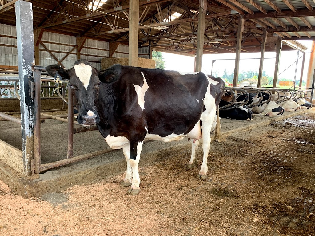 TMK Creamery | restaurant | 27221 S Dryland Rd, Canby, OR 97013, USA | 5036833397 OR +1 503-683-3397