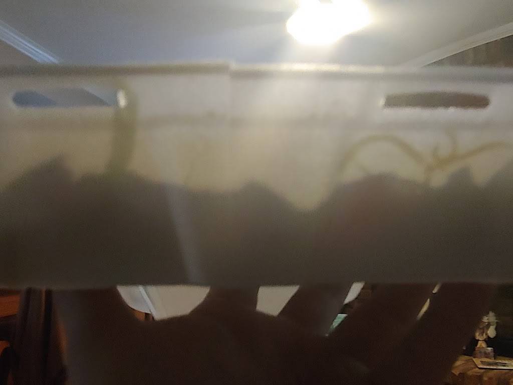 Co-Cos Kitchen | restaurant | 7376 US-11, Carriere, MS 39426, USA | 6017989998 OR +1 601-798-9998