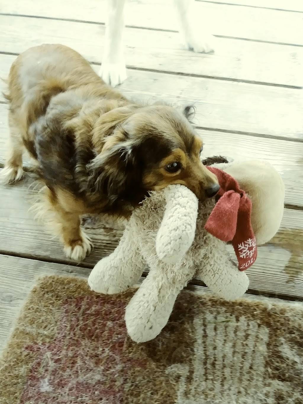 Saritas Grill & Cantina | restaurant | 18780 LA-22, Maurepas, LA 70449, USA | 2256989318 OR +1 225-698-9318