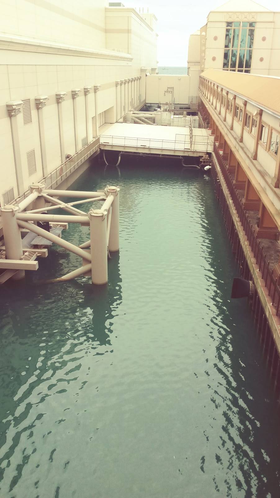 Picosito Bar & Grill | restaurant | 10000 S Ave L, Chicago, IL 60617, USA | 7733594863 OR +1 773-359-4863