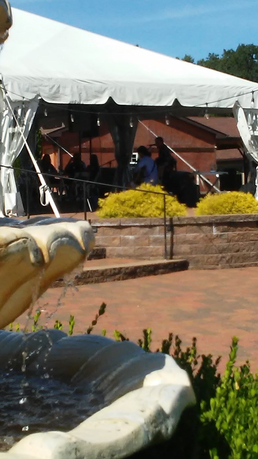 Villa Antonio Winery | restaurant | 3660 Linhorst Rd, Hillsboro, MO 63050, USA | 6364755008 OR +1 636-475-5008