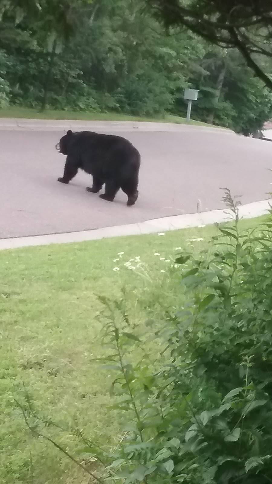 Northland Country Club | restaurant | 3901 E Superior St, Duluth, MN 55804, USA | 2185251941 OR +1 218-525-1941