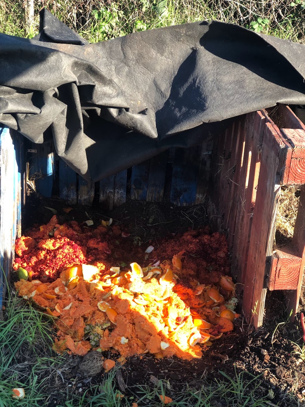 liquified juicery | meal takeaway | 865 Marina Bay Pkwy #33, Richmond, CA 94804, USA | 4155041777 OR +1 415-504-1777