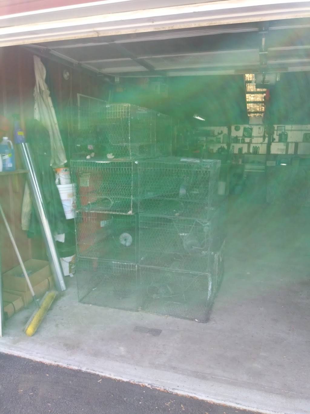 Elliott’s Seafood | restaurant | 10922 Adkins Rd, Berlin, MD 21811, USA | 4106415938 OR +1 410-641-5938