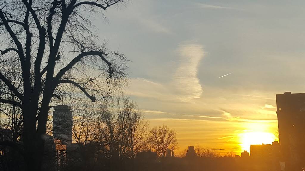 Divine Merci Restaurant | restaurant | 1296 Blue Hill Avenue, Mattapan, MA 02126, USA | 6172961300 OR +1 617-296-1300