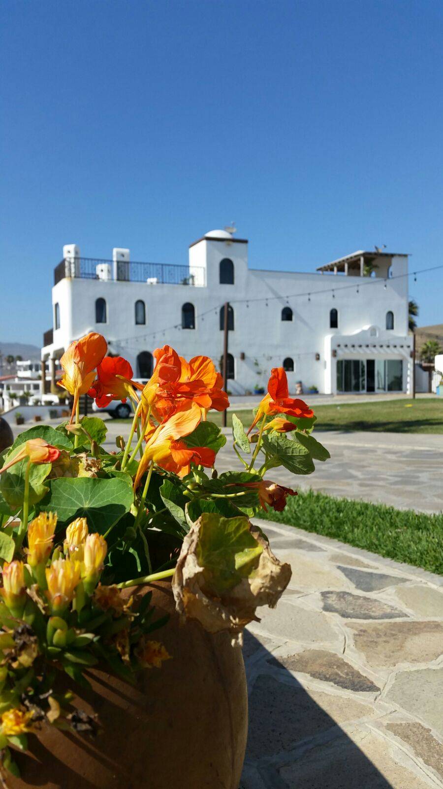 Casa Playa Baja Resort | restaurant | Los Pinos 1, 22714 Primo Tapia, B.C., Mexico | 6199873034 OR +1 619-987-3034