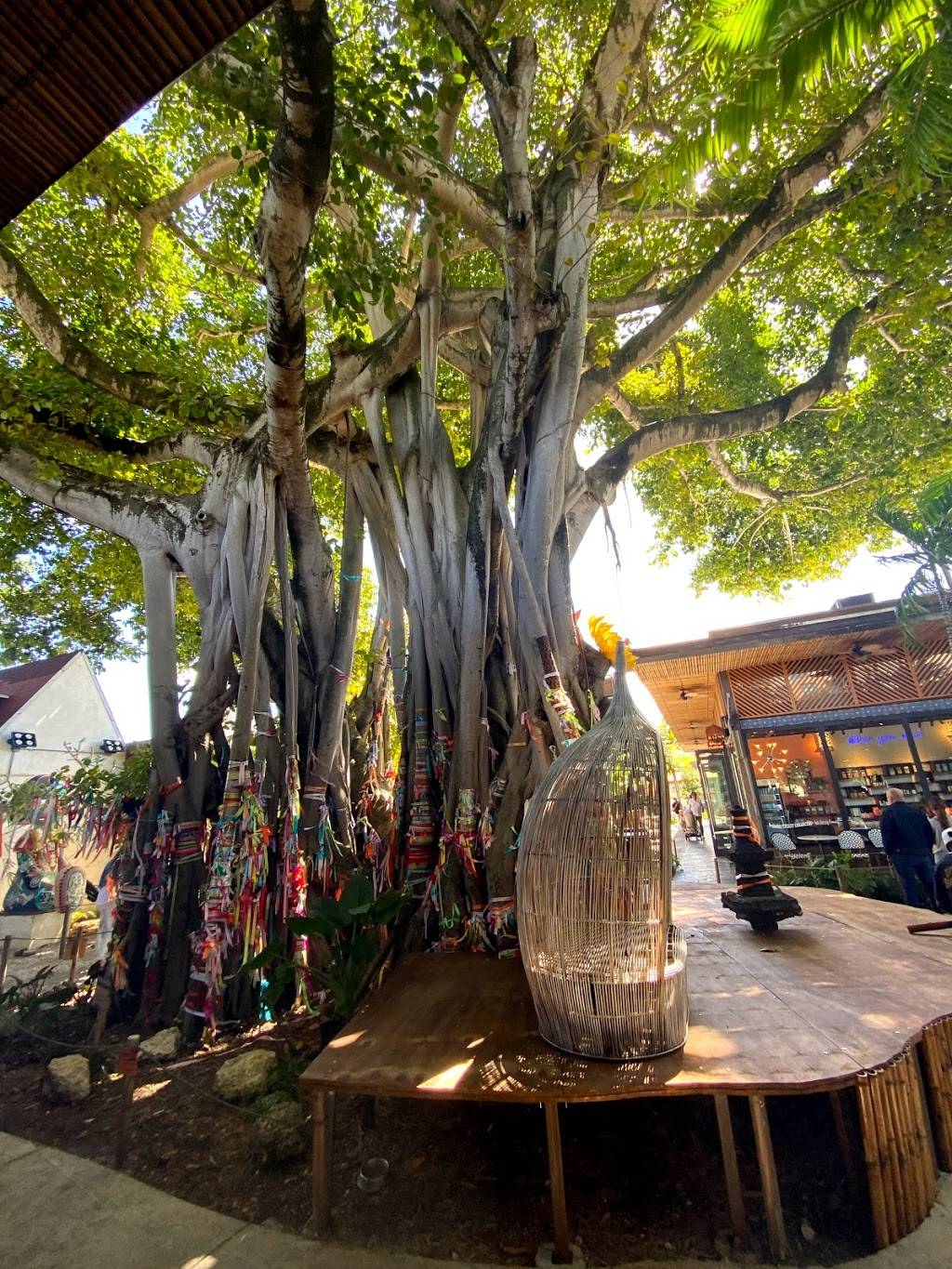 Vista Restaurant | restaurant | 5020 NE 2nd Ave, Miami, FL 33137, USA | 3054057547 OR +1 305-405-7547