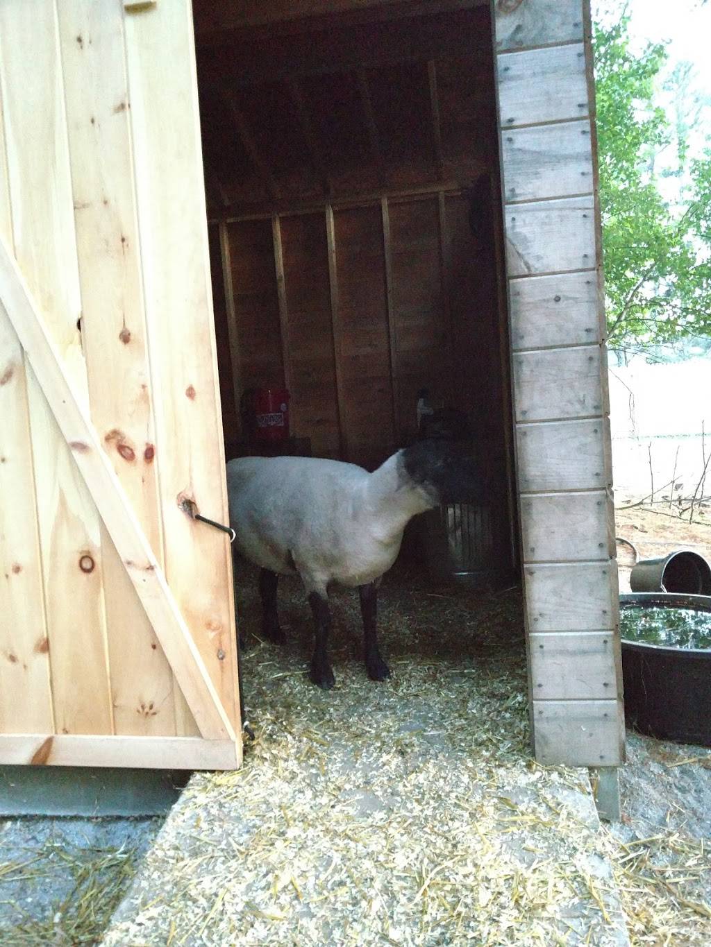 Frostys Dairy Bar |  | 1040 Main St, Waterboro, ME 04087, USA | 2072471261 OR +1 207-247-1261