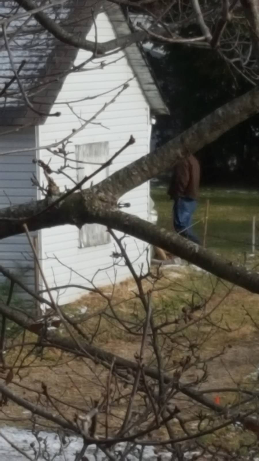 Mics Italian Restaurant | restaurant | 2384 Mechanicsburg Rd, Springfield, OH 45503, USA | 9373995074 OR +1 937-399-5074