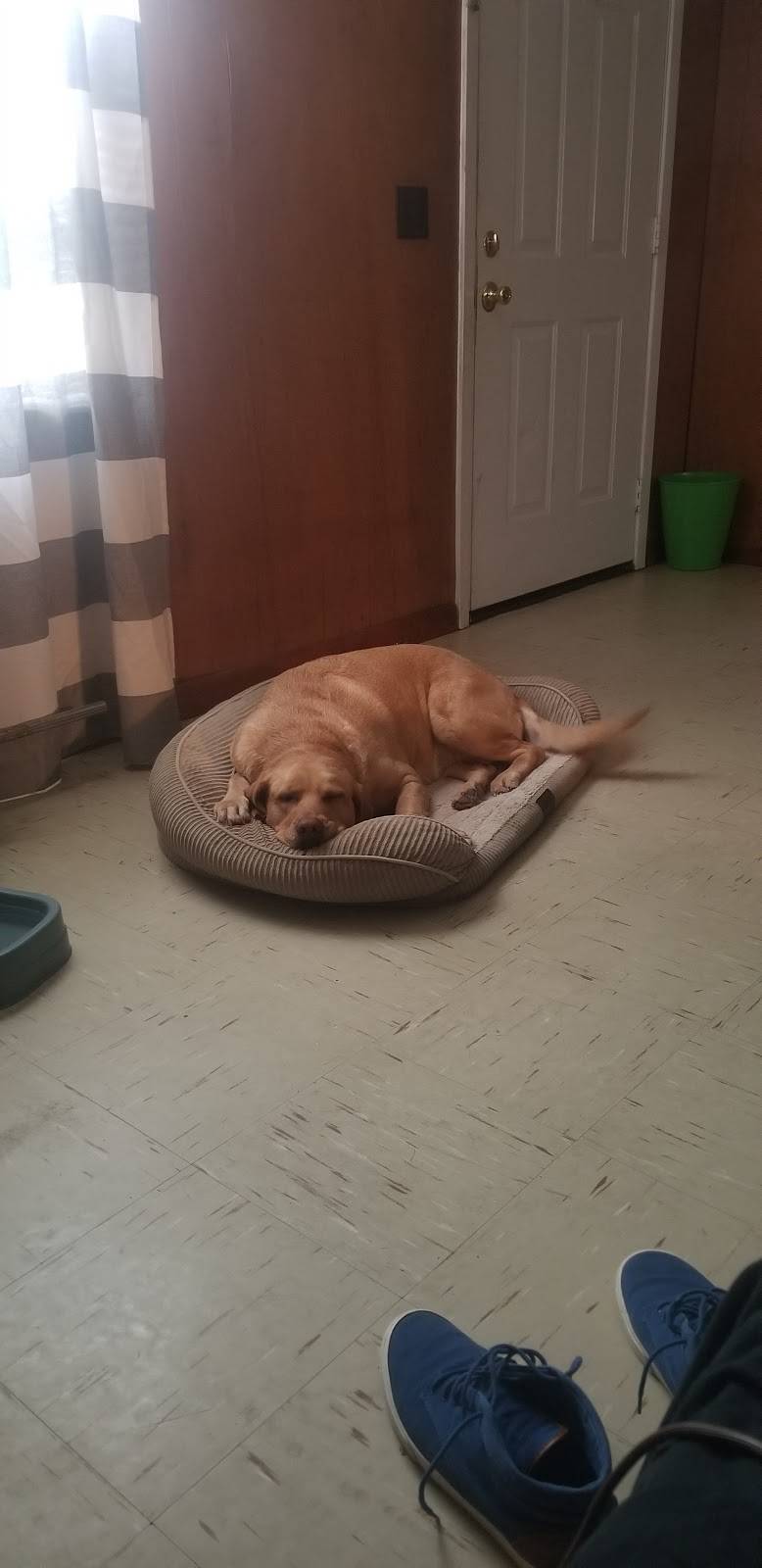 Subway | meal takeaway | 1907 Hwy 45 N, Columbus, MS 39701, USA | 6623275508 OR +1 662-327-5508