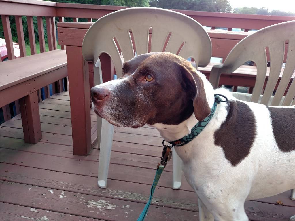 Valley Bar & Grill | restaurant | W10299 US-10, Prescott, WI 54021, USA | 7154251018 OR +1 715-425-1018