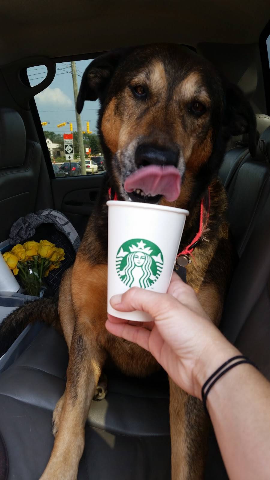 Starbucks | cafe | 1221 Demille Rd, Lapeer, MI 48446, USA | 8106670981 OR +1 810-667-0981