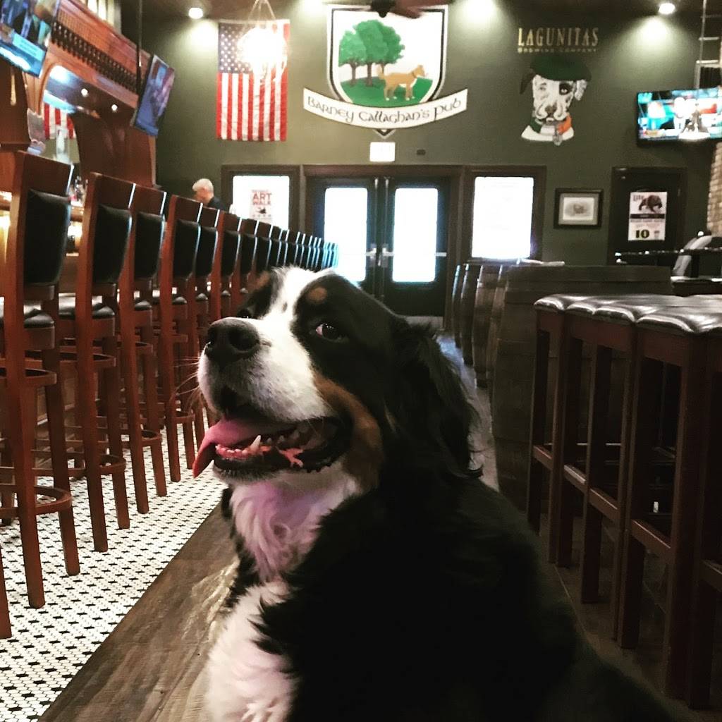 Barney Callaghans Pub | restaurant | 10618 S Western Ave, Chicago, IL 60643, USA | 7732336829 OR +1 773-233-6829
