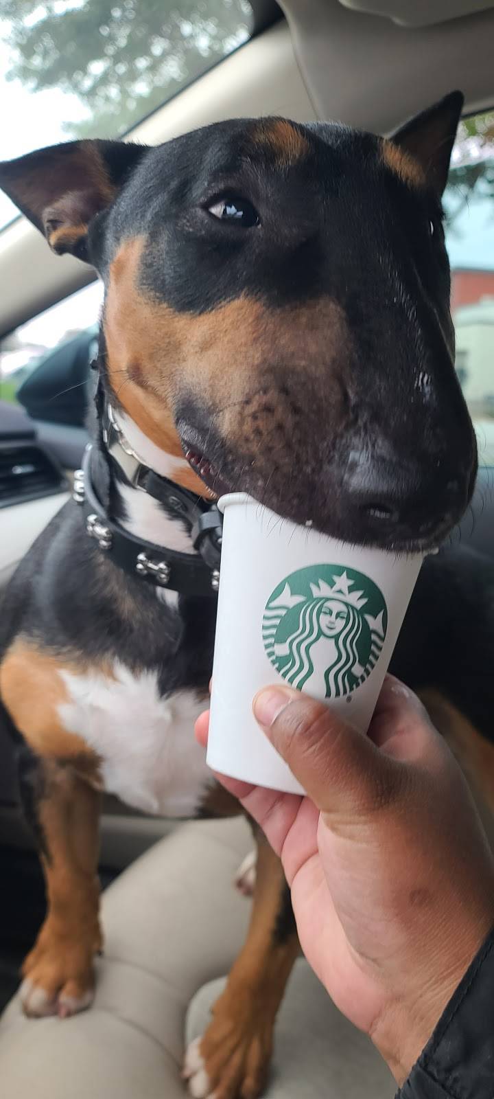 Starbucks | cafe | 665 Duluth Hwy, Lawrenceville, GA 30046, USA | 4703569087 OR +1 470-356-9087