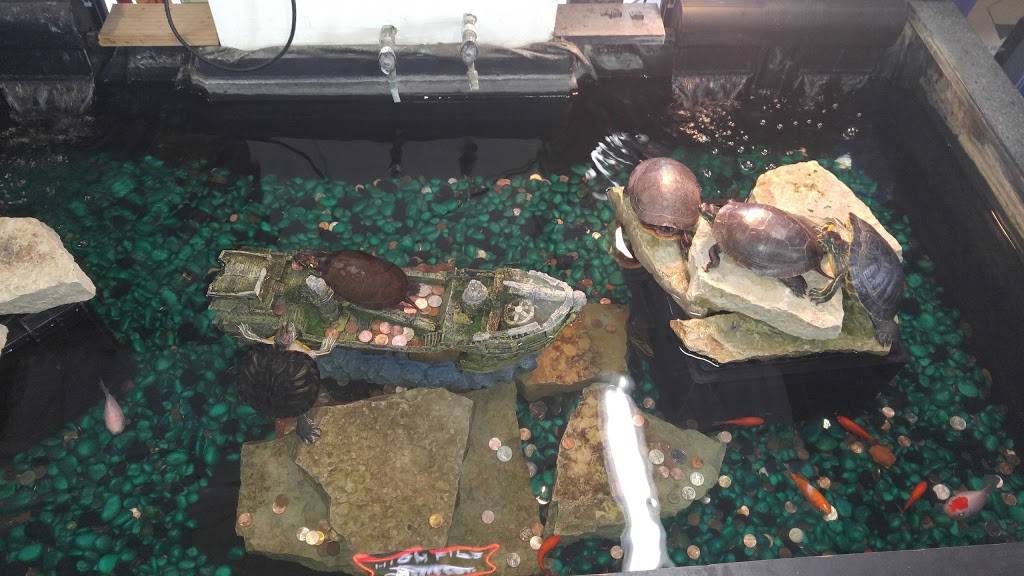 Ya Mon Jamaican Cuisine | restaurant | 18304 S Cicero Ave, Country Club Hills, IL 60478, USA | 7087990761 OR +1 708-799-0761