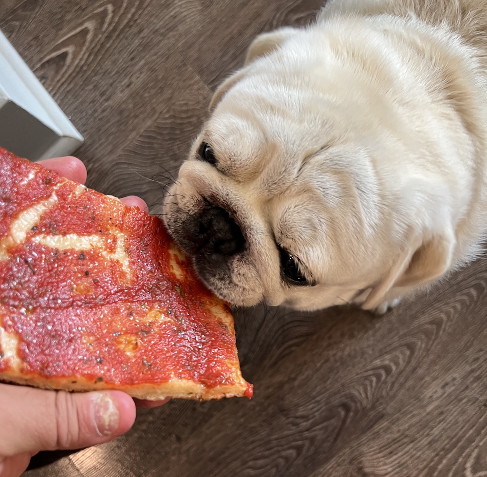 Santuccis Original Square Pizza Paoli | meal delivery | 1776 E Lancaster Ave, Paoli, PA 19301, USA | 6104242790 OR +1 610-424-2790