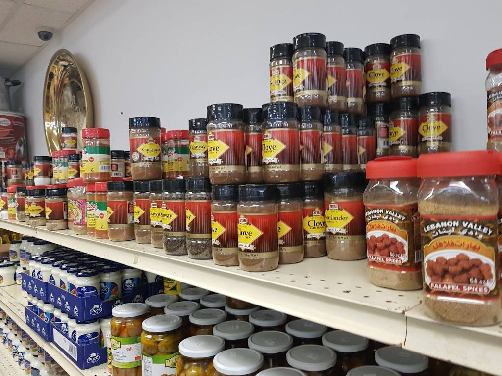 Kabab Restaurant | restaurant | 125 E Center St, Rochester, MN 55904, USA | 5072882181 OR +1 507-288-2181