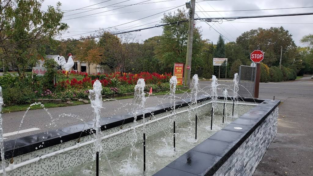 Bello poultry farm | restaurant | 411 Union Ave, Holbrook, NY 11741, USA | 6314673244 OR +1 631-467-3244