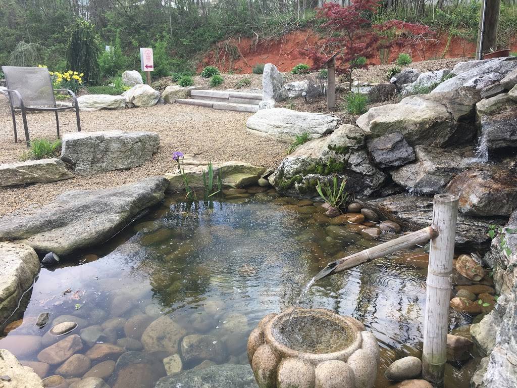 Karma Café | restaurant | 8 Brookdale Rd, Asheville, NC 28804, USA | 8282301668 OR +1 828-230-1668