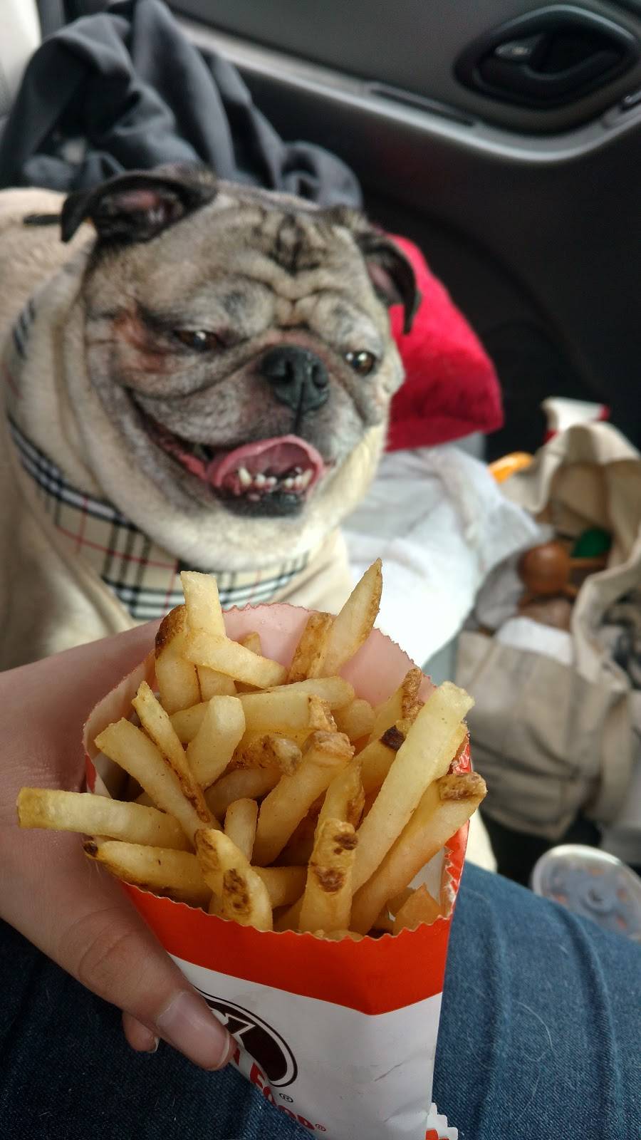 A&W Drive In | restaurant | 301 Lafayette Ave, Bay City, MI 48708, USA | 9898920321 OR +1 989-892-0321