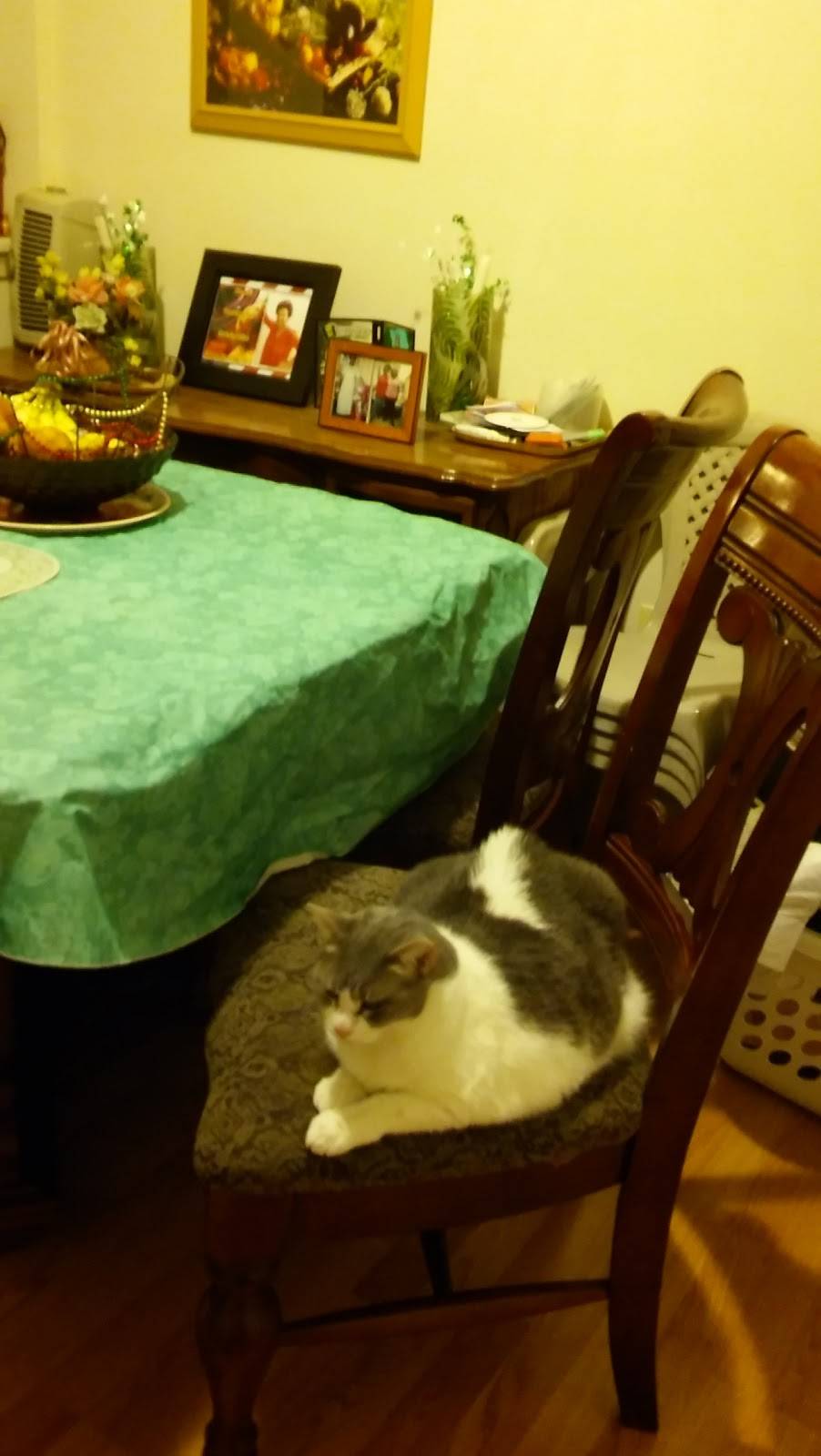 Island Breeze Restaurant & Lounge | restaurant | 2139 Jefferson St, Baltimore, MD 21205, USA | 4438352149 OR +1 443-835-2149