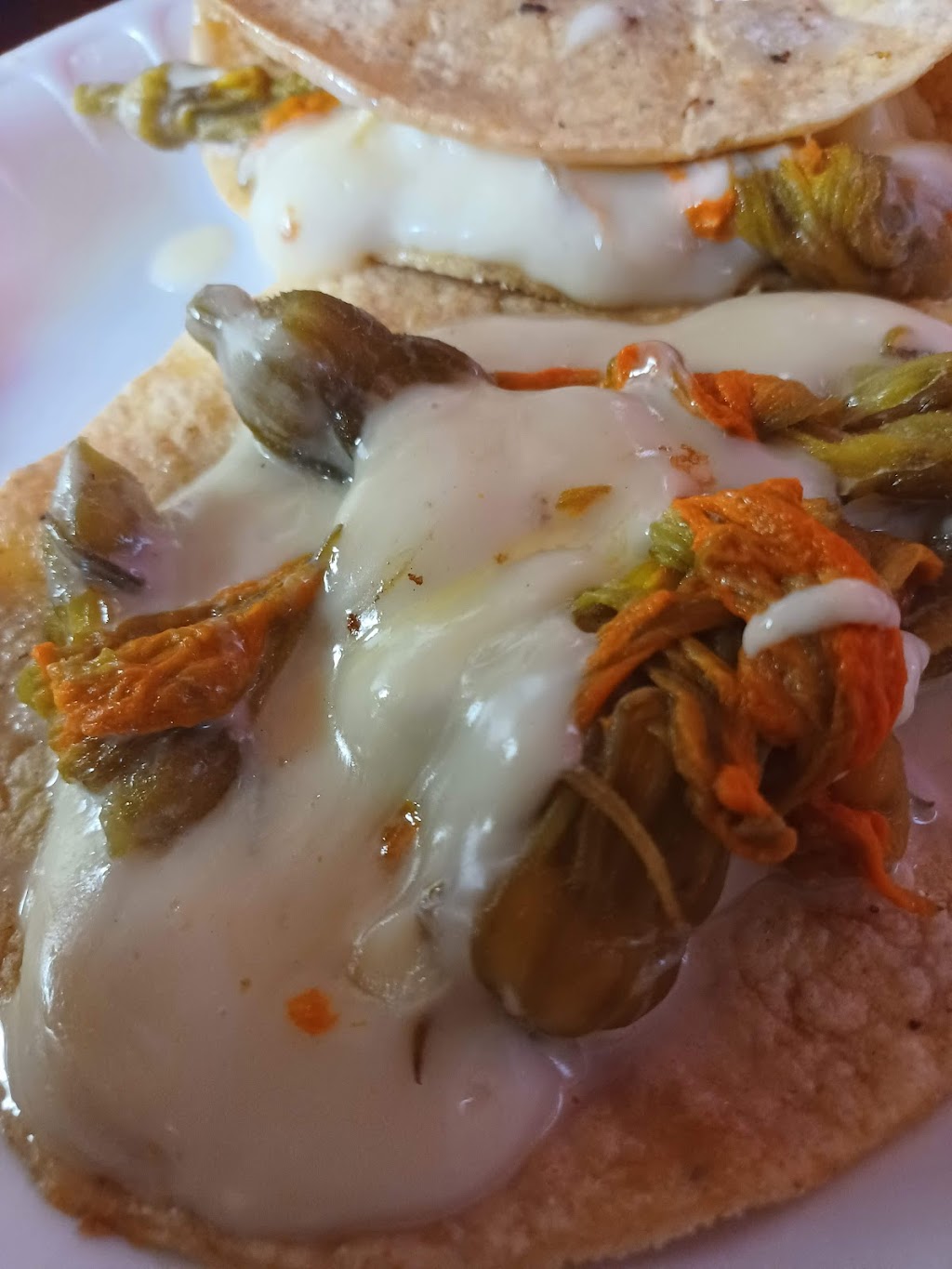 Tláloc Mexican Food | restaurant | 4519 Darien Vista, San Antonio, TX 78247, USA | 2105497702 OR +1 210-549-7702