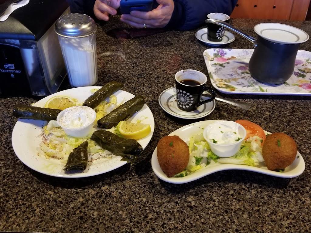 Layalina Mediterranean restaurant | restaurant | 706 Fort Worth Dr, Denton, TX 76201, USA | 9403823663 OR +1 940-382-3663